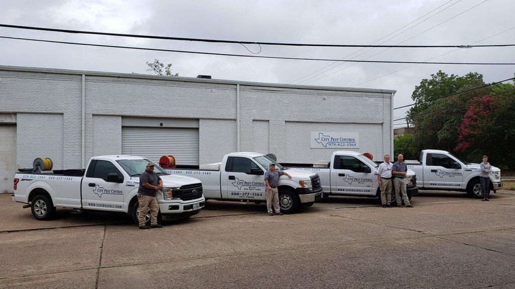 Flea Pest Control Services in Bryan/College Station, TX