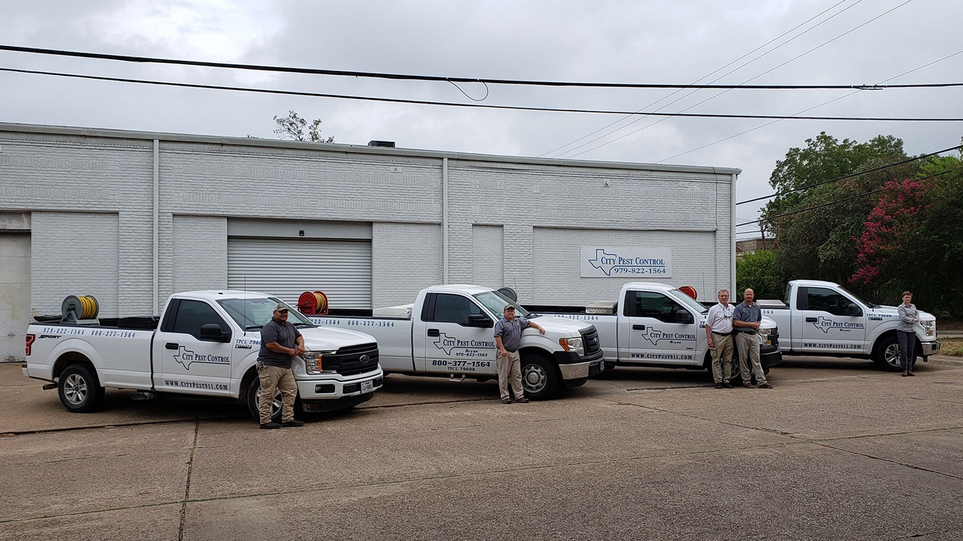 City Pest Team