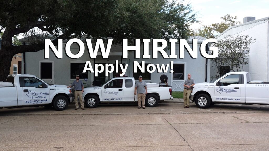 NOW HIRING: We Are Looking for a Service Technician at City Pest Control